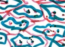 Direct Animation