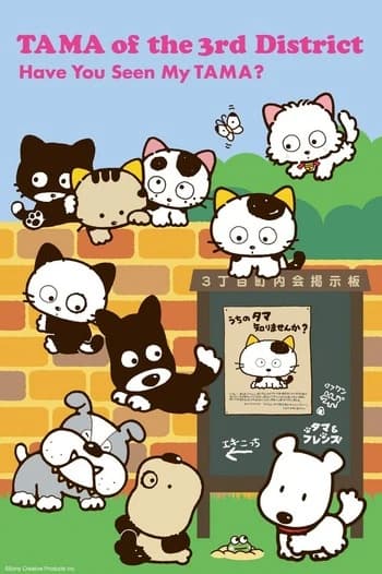 TAMA of the 3rd District: Have You Seen My TAMA?