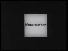 Metamorphose.