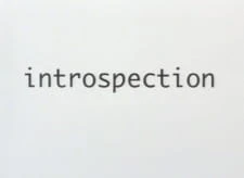 Introspection