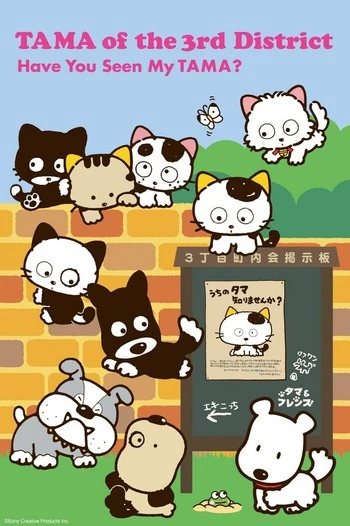 TAMA of the 3rd District: Have You Seen My TAMA?